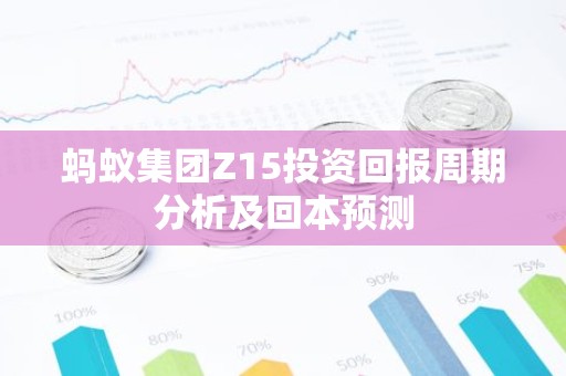 蚂蚁集团Z15投资回报周期分析及回本预测