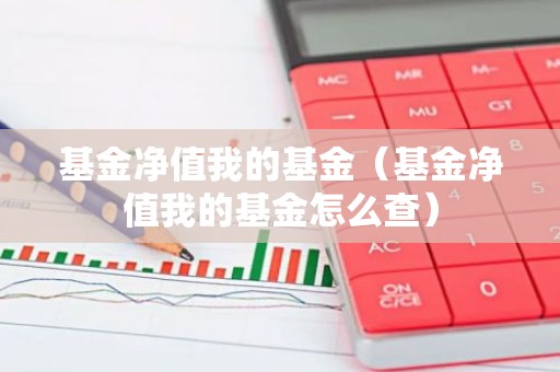 基金净值我的基金（基金净值我的基金怎么查）