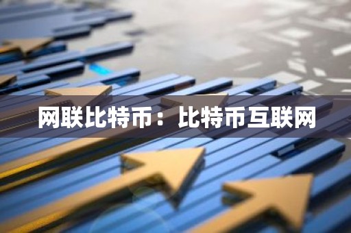 网联比特币：比特币互联网