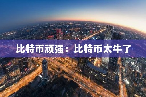 比特币顽强：比特币太牛了