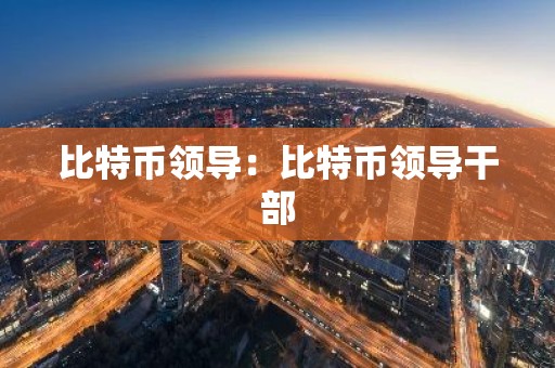 比特币领导：比特币领导干部