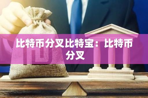 比特币分叉比特宝：比特币 分叉