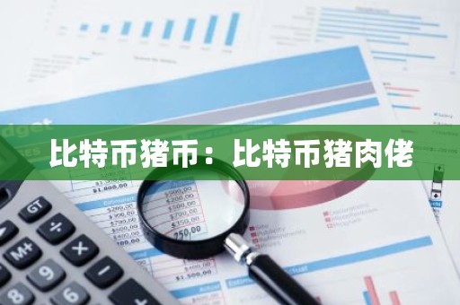 比特币猪币：比特币猪肉佬