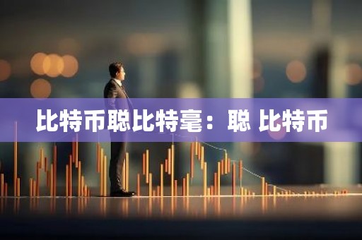 比特币聪比特毫：聪 比特币