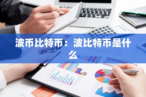 波币比特币：波比特币是什么