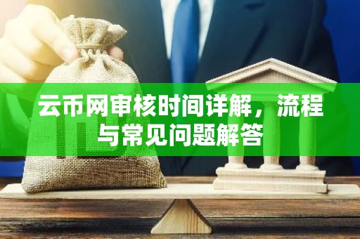 云币网审核时间详解，流程与常见问题解答