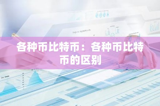 各种币比特币：各种币比特币的区别