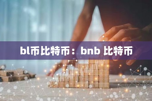 bl币比特币：bnb 比特币