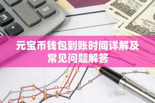 元宝币钱包到账时间详解及常见问题解答
