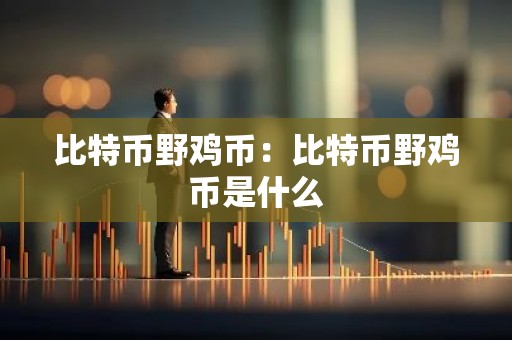 比特币野鸡币：比特币野鸡币是什么