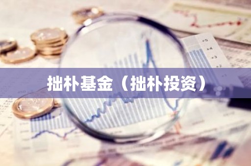 拙朴基金（拙朴投资）
