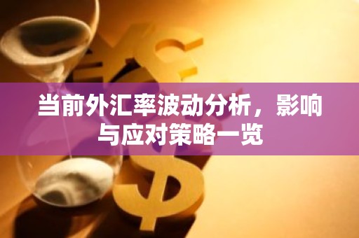 当前外汇率波动分析，影响与应对策略一览
