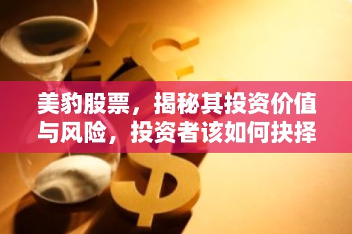 美豹股票，揭秘其投资价值与风险，投资者该如何抉择？
