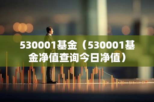 530001基金（530001基金净值查询今日净值）