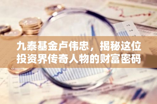 九泰基金卢伟忠，揭秘这位投资界传奇人物的财富密码