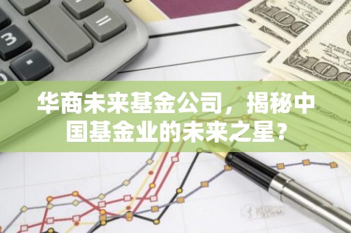 华商未来基金公司，揭秘中国基金业的未来之星？
