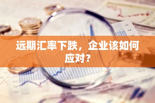 远期汇率下跌，企业该如何应对？