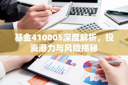 基金410005深度解析，投资潜力与风险揭秘