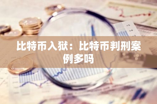 比特币入狱：比特币判刑案例多吗