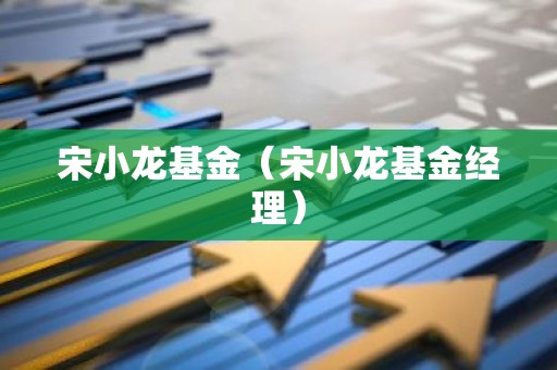 宋小龙基金（宋小龙基金经理）
