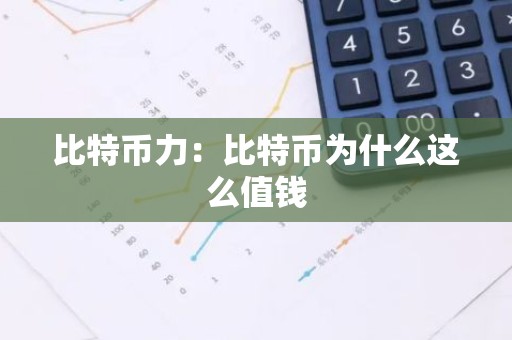 比特币力：比特币为什么这么值钱