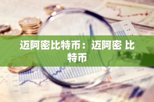 迈阿密比特币：迈阿密 比特币