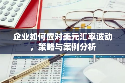 企业如何应对美元汇率波动，策略与案例分析