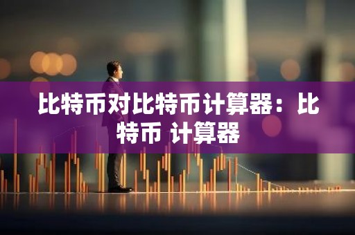 比特币对比特币计算器：比特币 计算器