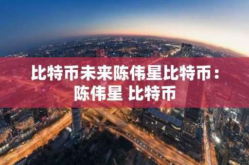 比特币未来陈伟星比特币：陈伟星 比特币