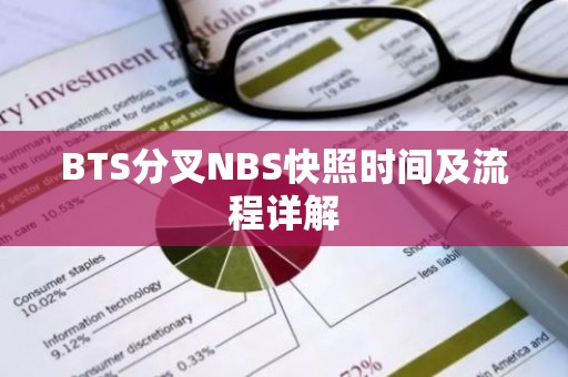 BTS分叉NBS快照时间及流程详解