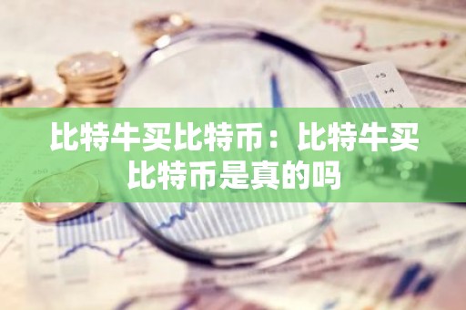 比特牛买比特币：比特牛买比特币是真的吗
