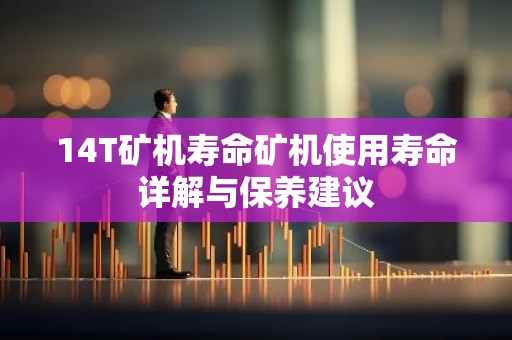 14T矿机寿命矿机使用寿命详解与保养建议