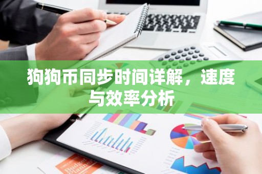狗狗币同步时间详解，速度与效率分析