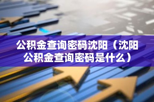 公积金查询密码沈阳（沈阳公积金查询密码是什么）