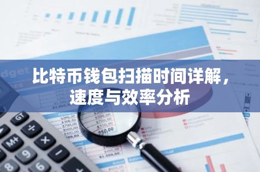 比特币钱包扫描时间详解，速度与效率分析