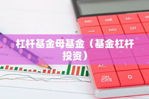 杠杆基金母基金（基金杠杆投资）