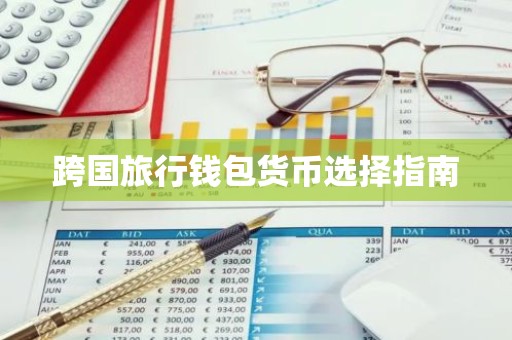 跨国旅行钱包货币选择指南