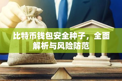 比特币钱包安全种子，全面解析与风险防范