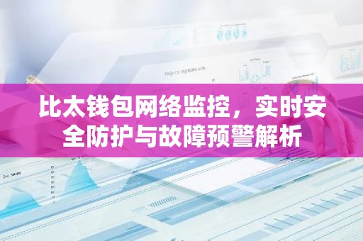 比太钱包网络监控，实时安全防护与故障预警解析