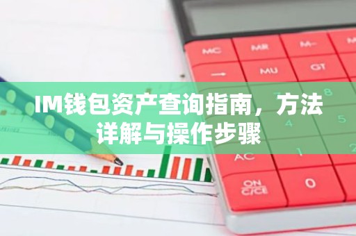 IM钱包资产查询指南，方法详解与操作步骤
