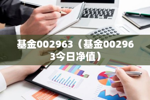 基金002963（基金002963今日净值）