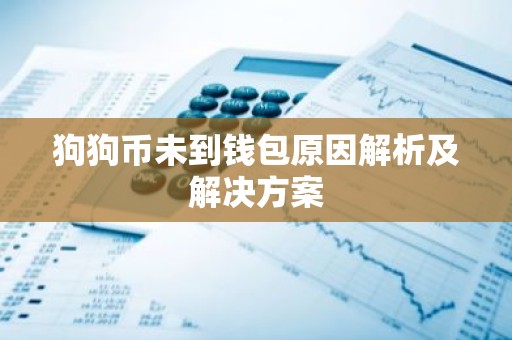 狗狗币未到钱包原因解析及解决方案