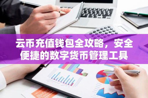 云币充值钱包全攻略，安全便捷的数字货币管理工具