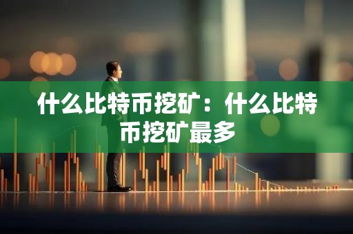 什么比特币挖矿：什么比特币挖矿最多