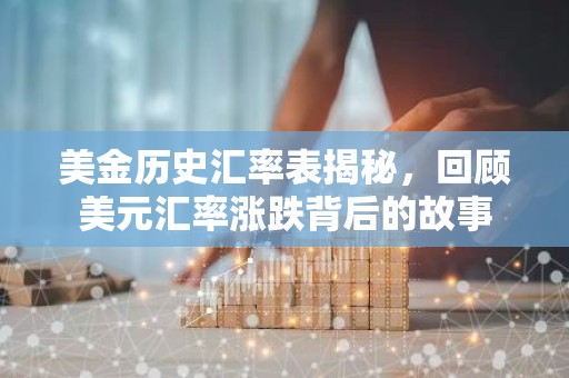 美金历史汇率表揭秘，回顾美元汇率涨跌背后的故事