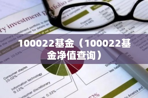 100022基金（100022基金净值查询）