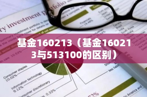 基金160213（基金160213与513100的区别）