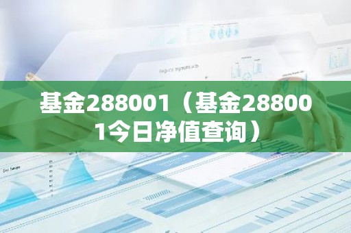 基金288001（基金288001今日净值查询）
