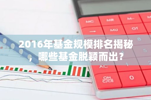 2016年基金规模排名揭秘，哪些基金脱颖而出？