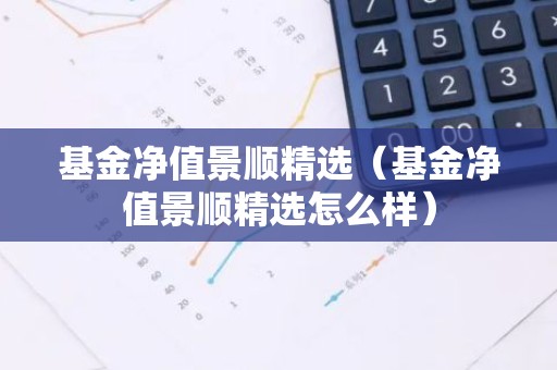 基金净值景顺精选（基金净值景顺精选怎么样）
